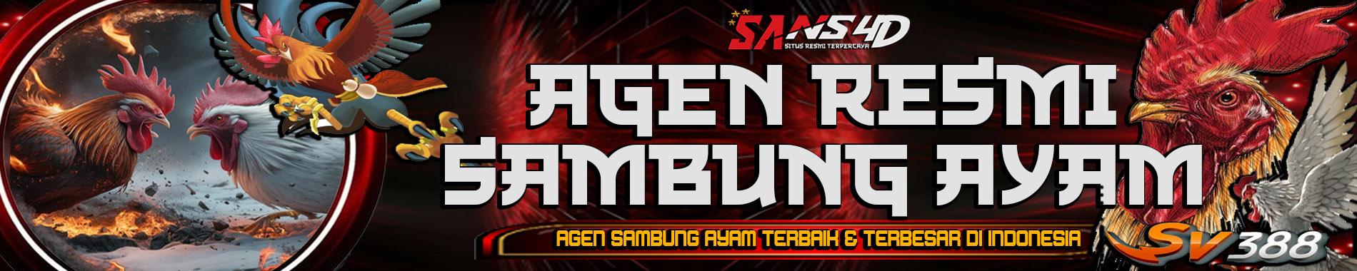 SANS4D AGEN RESMI SAMBUNG AYAM